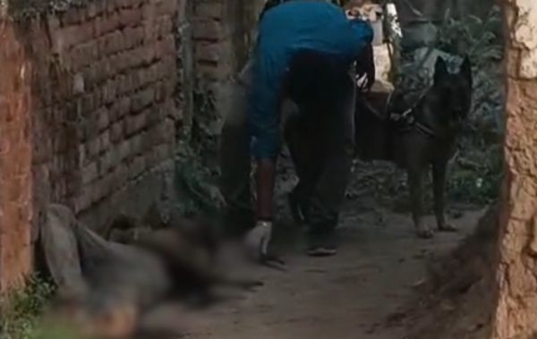 CG Crime : इलाके में फैली सनसनी.! अधेड़ की चाकू मारकर हत्या..मौके पर पहुंची एफएसएल और डॉग स्क्वायड टीम..पढ़ें पूरी ख़बर