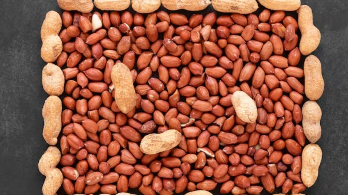 Health Tips : सर्दियां ही नहीं, गर्मियों के ल&zwj;िए भी हेल्&zwj;दी ऑप्&zwj;शन है मूंगफली...बस जान लें खाने का सही तरीका...जाने पूरी जानकारी