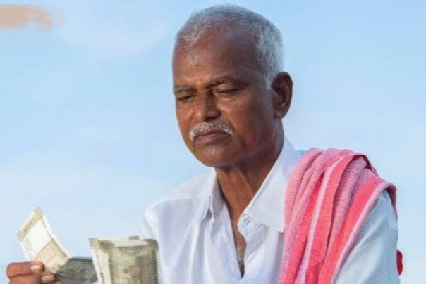 June Month Crop : जून में शुरू करें इस फसल की खेती..प्रति एकड़ होगी 12 लाख रुपये तक की कमाई..देखें डिटेल