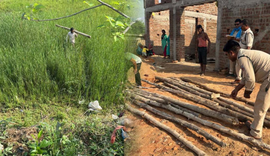 CG Big News : वन विभाग ने छापा मारकर बड़ी मात्रा में पकड़ी अवैध सागौन की लकड़ी..आरोपी के खिलाफ मामला दर्ज..पढ़ें पूरी ख़बर