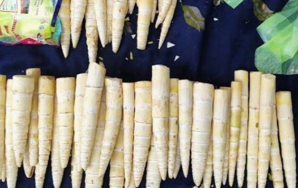 Recipe : बस मानसून में मिलती है यह सब्जी..जंगलों से बाजार पहुंचते हाथों-हाथ बिक जाती..स्वाद के सामने मटन फेल