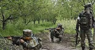 बीजापुर के गंगालूर उन्मूलन अभियान के दौरान सुरक्षाबलों ने 8 नक्सलियों को किया ढेर,राइफल, वीएलजी लॉन्चर सहित कई हथियार बरामद