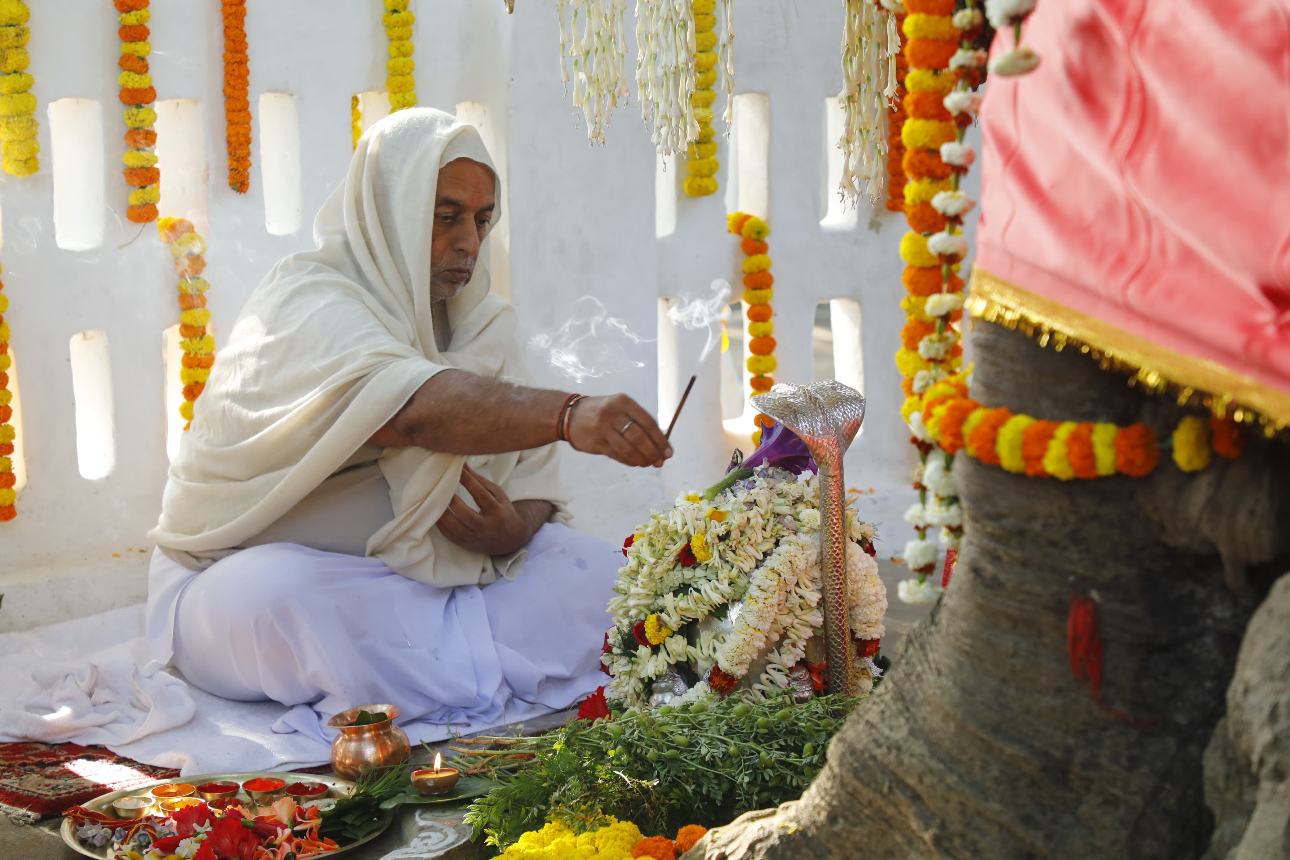 जनसेवा अभेद आश्रम नारायणपुर-चिटकवाईन  में अघोरेश्वर महाविभूति स्थापना दिवस समारोह का आयोजन,महाविभूति स्थल के स्थापना दिवस पर उमड़े श्रद्वालु,आश्रम में गूंज रहा अघोर महामन्त्र