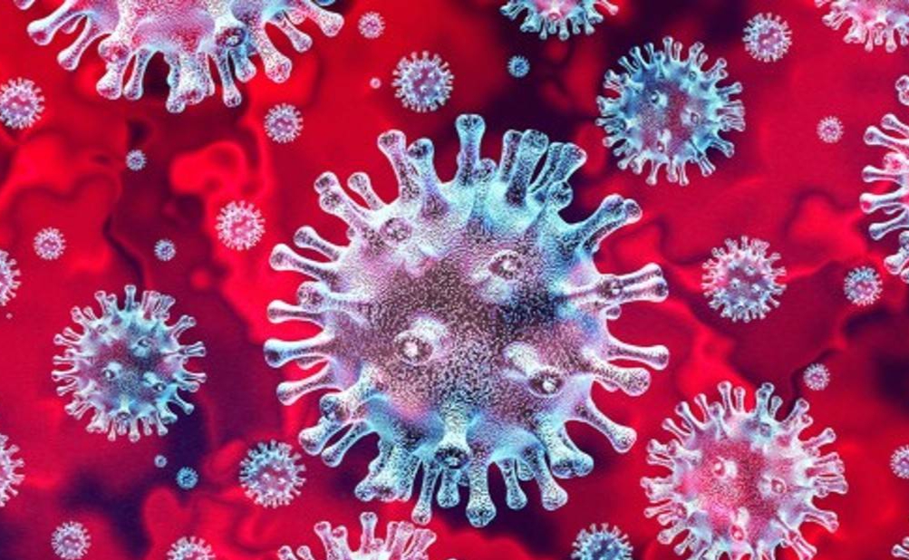 CG Corona Update : छत्तीसगढ़ में मिले 6 नए कोरोना के मामले..एक्टिव मरीजों की संख्या बढ़कर हुई 50..जाने पूरी जानकारी