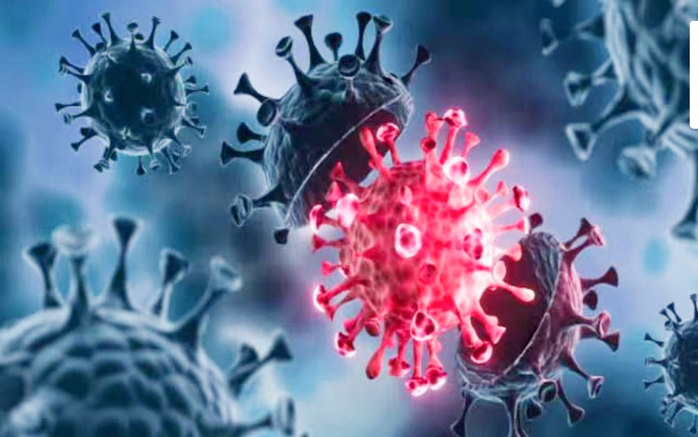 CG Corona News : इलाज के दौरान कोरोना से मरीज की मौत..खुली जिले में तैयारियों की पोल..पढ़ें पूरी ख़बर