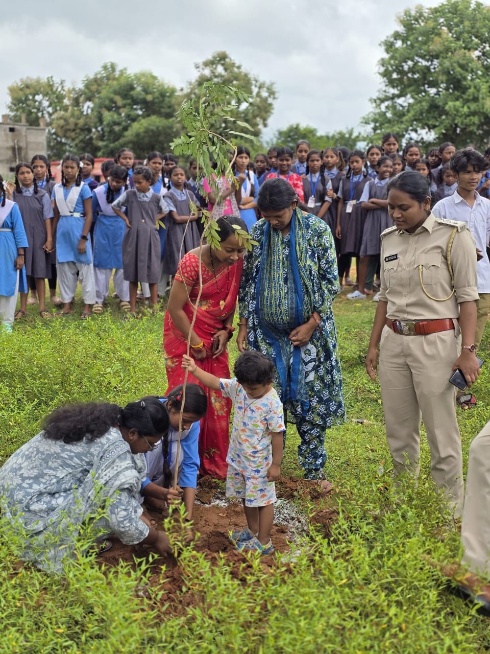 वन विभाग के सन्ना परिक्षेत्र से हटाये गये अवैध अतिक्रमण पर किया गया पौध रोपण&nbsp;