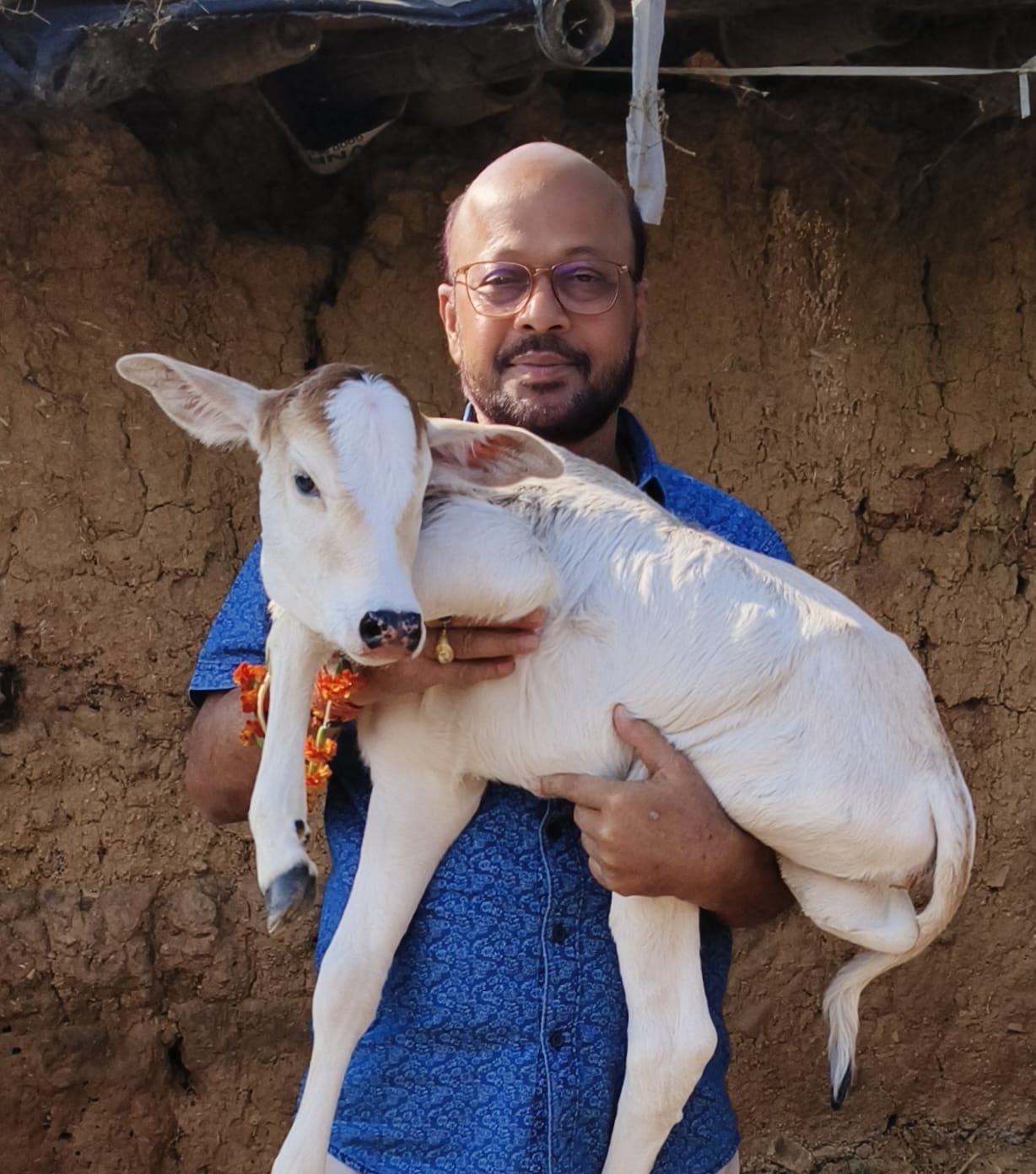 जिले की ऐतिहासिक उपलब्धि , कृत्रिम गर्भाधान से जन्मी प्रथम पुंगनुर मादा वत्स, पशु नस्ल सुधार में नई दिशा