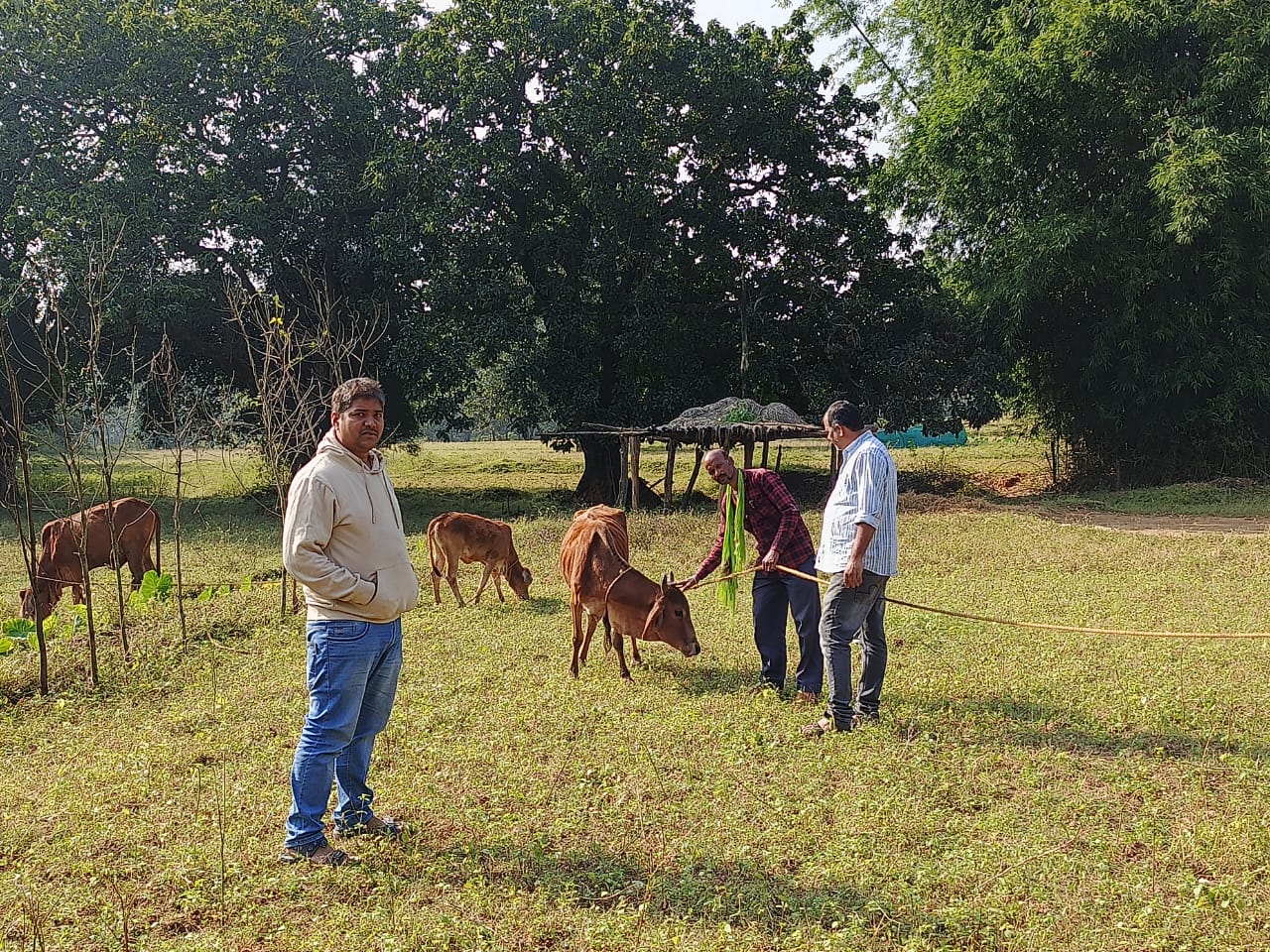 बालाझापर में निःशुल्क पशु चिकित्सा शिविर का हुआ आयोजन,120 पशुओं में कृमि नाशक दवाइयों का किया गया वितरण