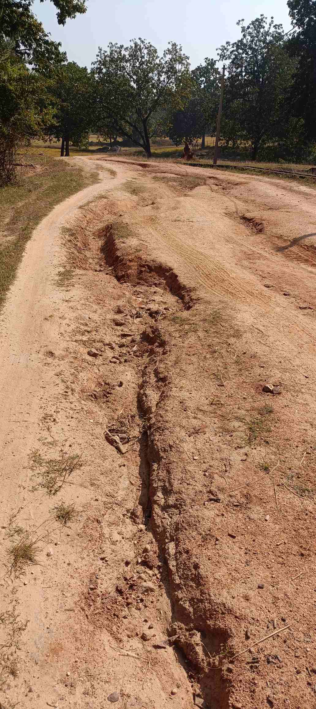 गड्ढों में तब्दील हो गईं सड़कें,गड्ढे भरे रास्ते से स्कूल जा रहे है बच्चे,इस सड़क से राहगीर भी परेशान,पंचयात नहीं दे रहा ध्यान