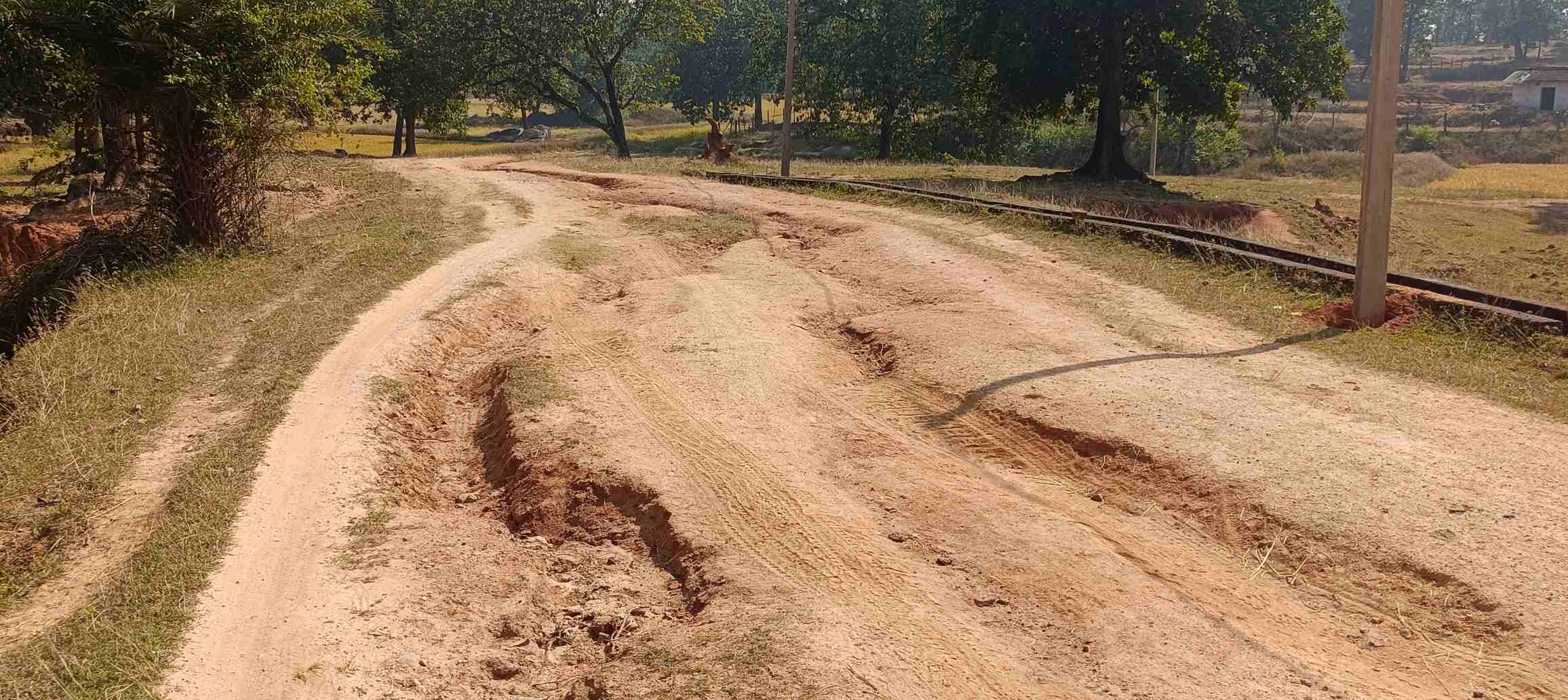 गड्ढों में तब्दील हो गईं सड़कें,गड्ढे भरे रास्ते से स्कूल जा रहे है बच्चे,इस सड़क से राहगीर भी परेशान,पंचयात नहीं दे रहा ध्यान
