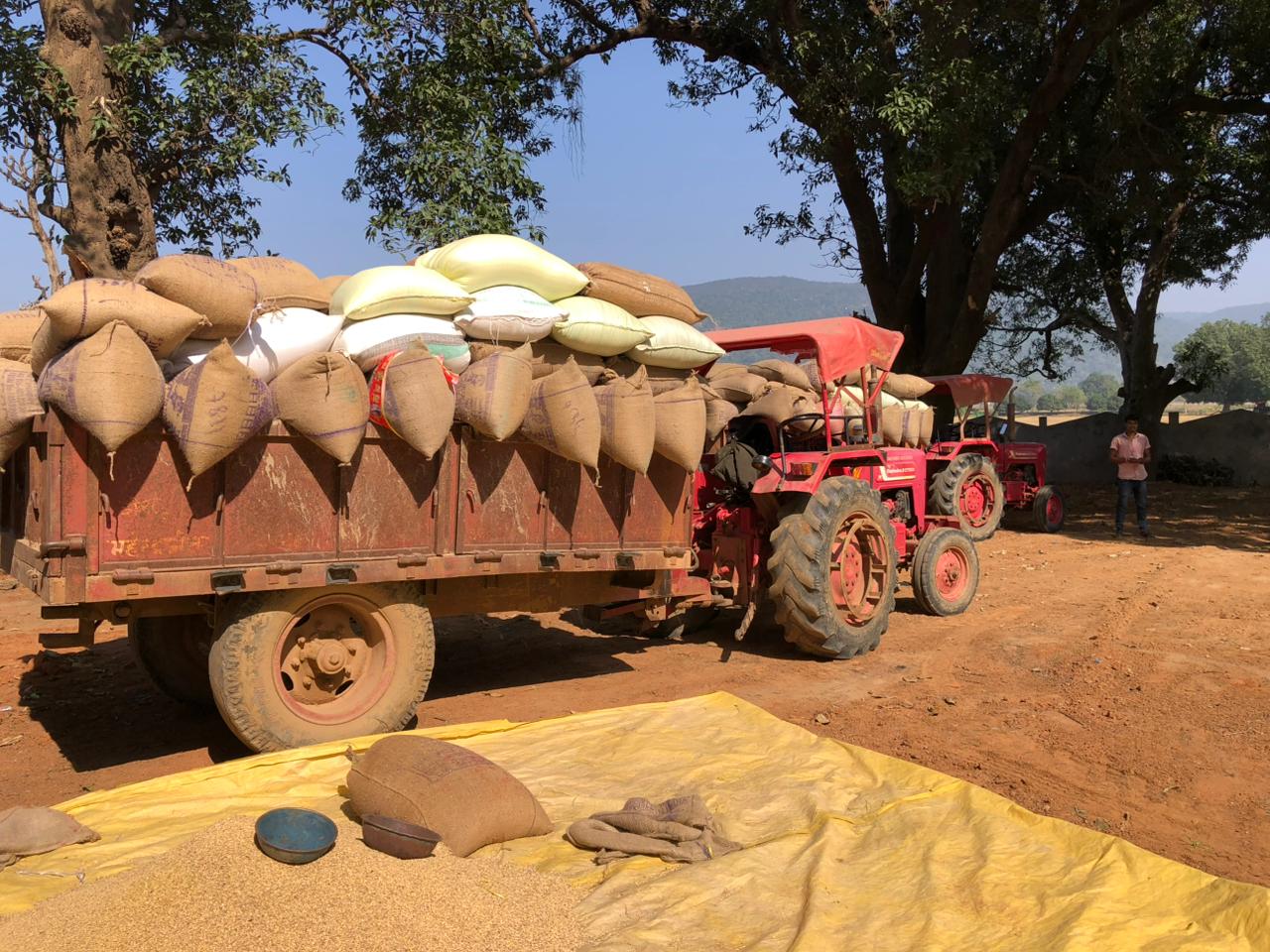 मार्कफेड ने जारी किए 1 नवंबर से 06 दिसम्बर तक के आंकड़े,छत्तीसगढ़ में अवैध भण्डारण, परिवहन एवं बेचते हुए लगभग 1 लाख 52 हजार क्विंटल धान जब्त