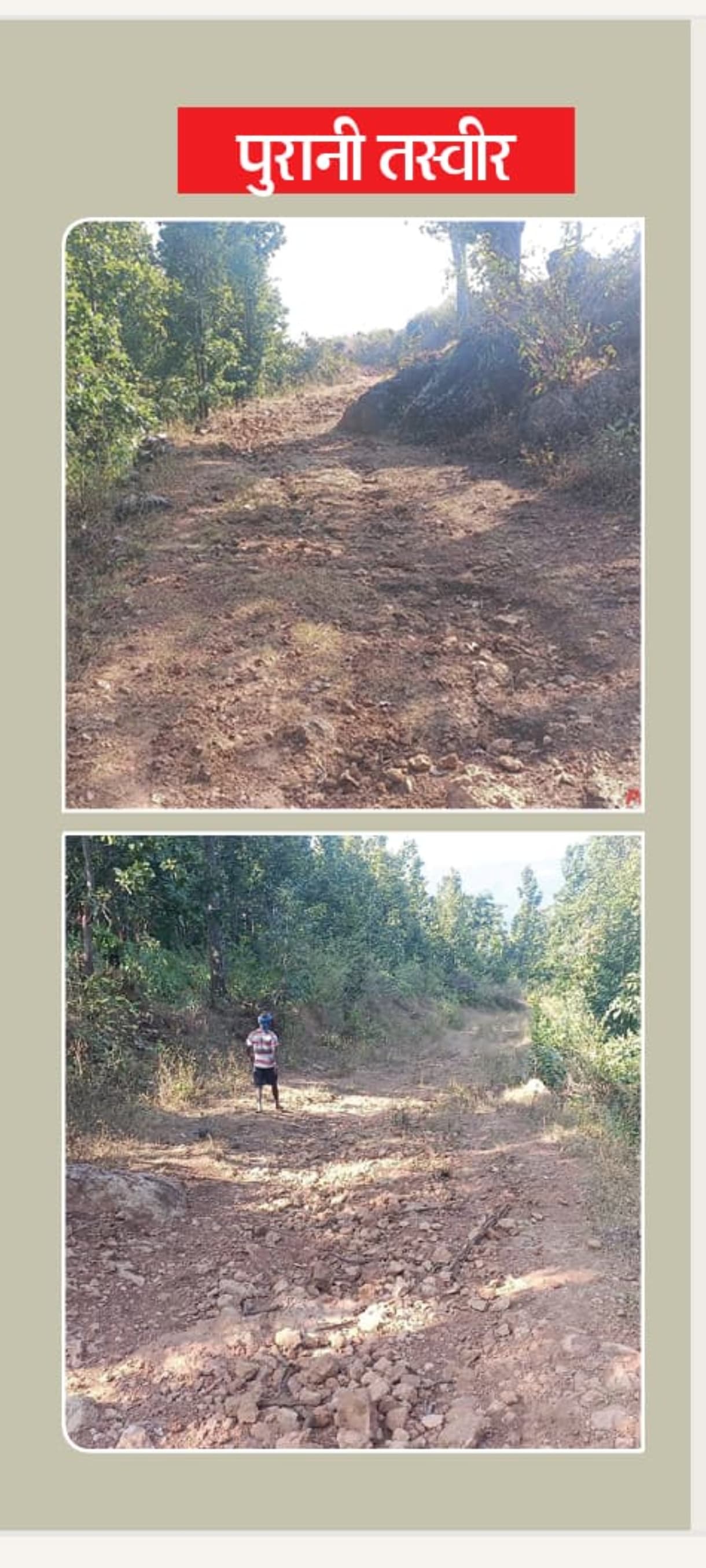 बंदकोना की विशेष पिछड़ी जनजाति पहाड़ी कोरवा बस्ती अब मुख्यधारा से जुड़ी: प्रधानमंत्री जनमन योजना ने खोला विकास का मार्ग