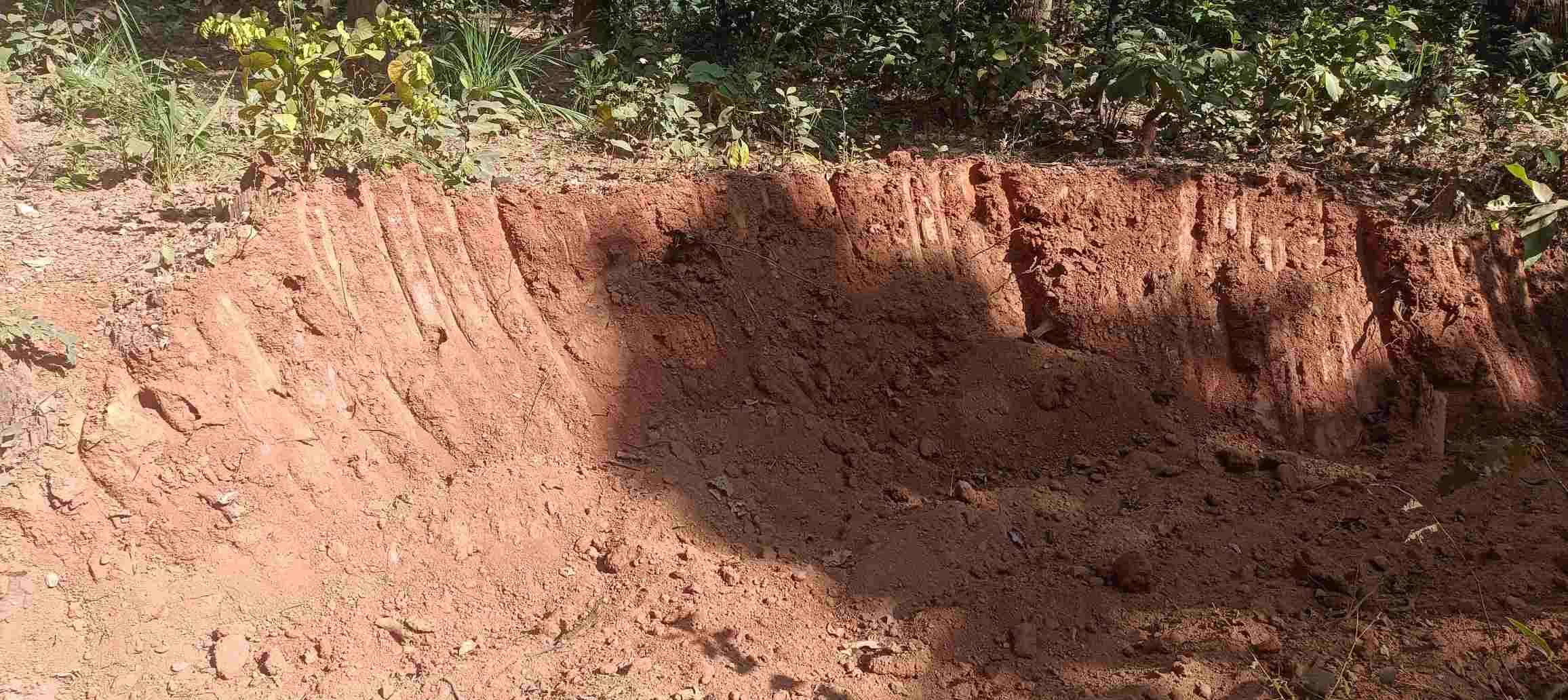 बादलखोल अभ्यारण्य: सड़क मरम्मत में मजदूरों का हक हड़पने का मामला