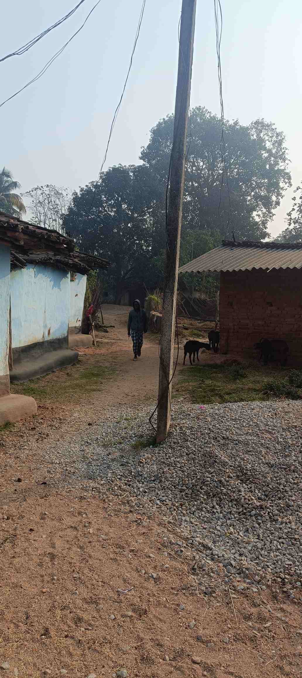 सड़क के बीच बिजली पोल बना विकास में बाधा, गलती विभाग की सजा जनता को-सीसी सड़क निर्माण कार्य कई महीनों से ठप्प