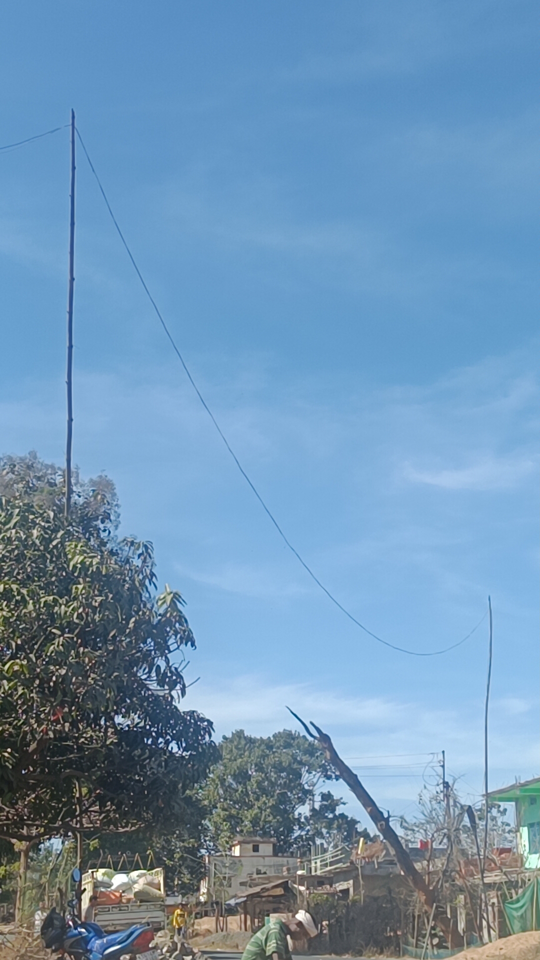 बांस-बल्लियों के सहारे बिजली आपूर्ति,शिकायतों के बाद भी दशकों से नहीं लगे पोल,क्या हादसे का इंतजार कर रहा विभाग?