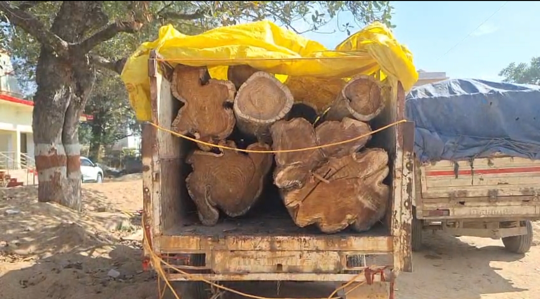 पत्थलगांव वन परिक्षेत्र में अवैध वन तस्करी पर बड़ी कार्रवाई, वन विभाग और पुलिस की संयुक्त टीम ने शीसो इमारती लकड़ी से भरा लावारिस पिकअप वाहन किया जब्त