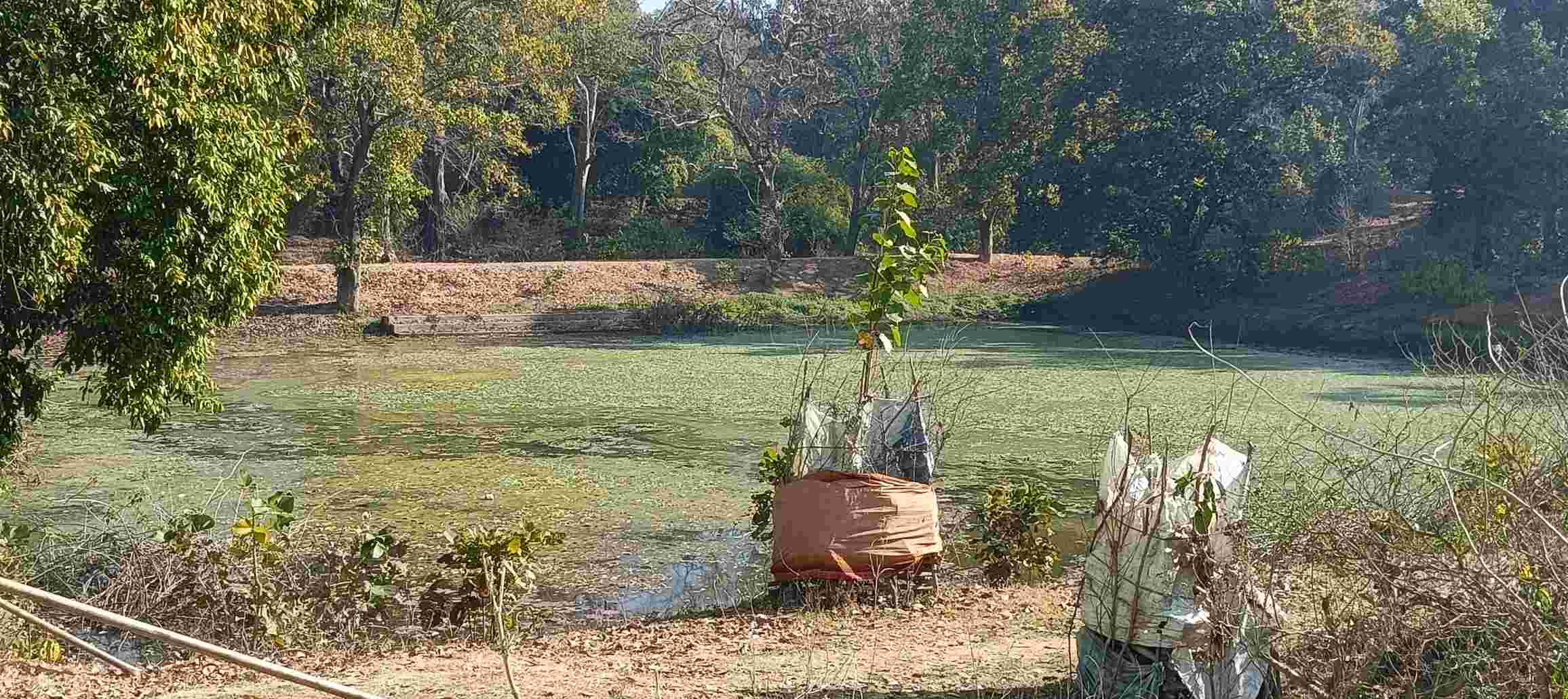महाशिवरात्रि पर श्रद्धालुओं की आस्था को ठेस &mdash; नारायणपुर के ऐतिहासिक नगरवन शिव मंदिर परिसर का पवित्र तालाब विभागीय लाफ़रवाही की वजह से बदहाली की चरम स्थिति पर,धार्मिक कार्यों के लिए अनुपयोगी ,श्रद्धालु परेशान
