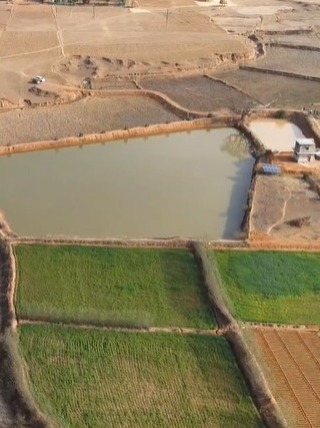 जशपुर की बेटी संजीता एक्का बनी आत्मनिर्भरता की मिसाल: पारंपरिक खेती से आगे बढ़कर मत्स्य, बत्तख और सुकर पालन से लिखी सफलता की नई इबारत