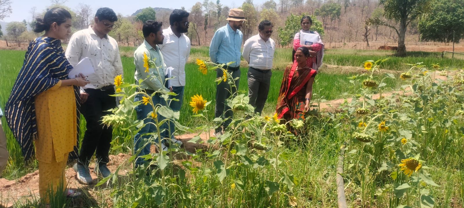 दीदी के बखरी&rdquo; से बदल रही ग्रामीण अर्थव्यवस्था की तस्वीर: कांकेर की महिला किसानों ने एकीकृत कृषि से रचा आय बढ़ोतरी का नया इतिहास