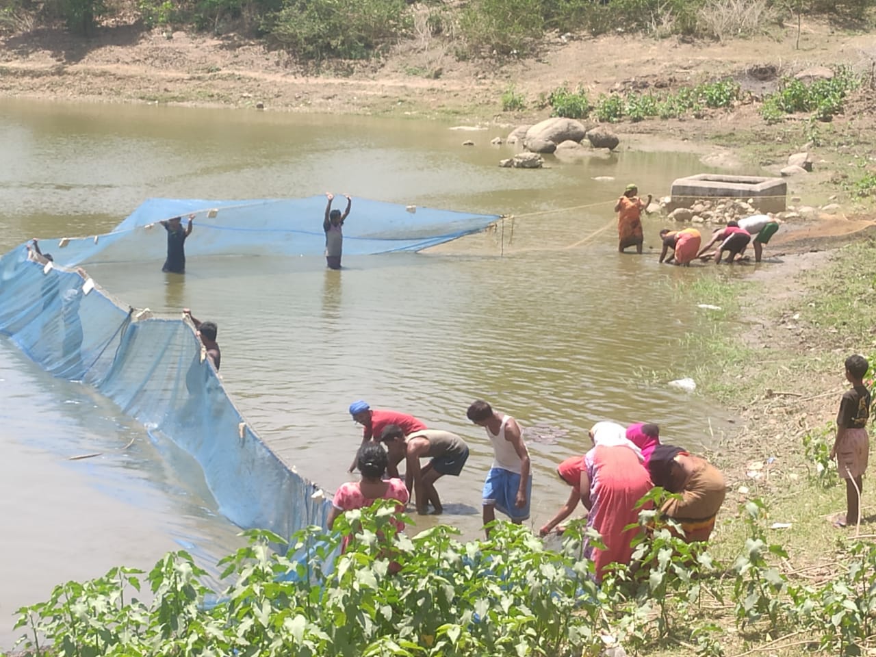 मुख्यमंत्री श्री विष्णुदेव साय के नेतृत्व में जशपुर ने मत्स्य उत्पादन के क्षेत्र में हासिल की उल्लेखनीय उपलब्धि