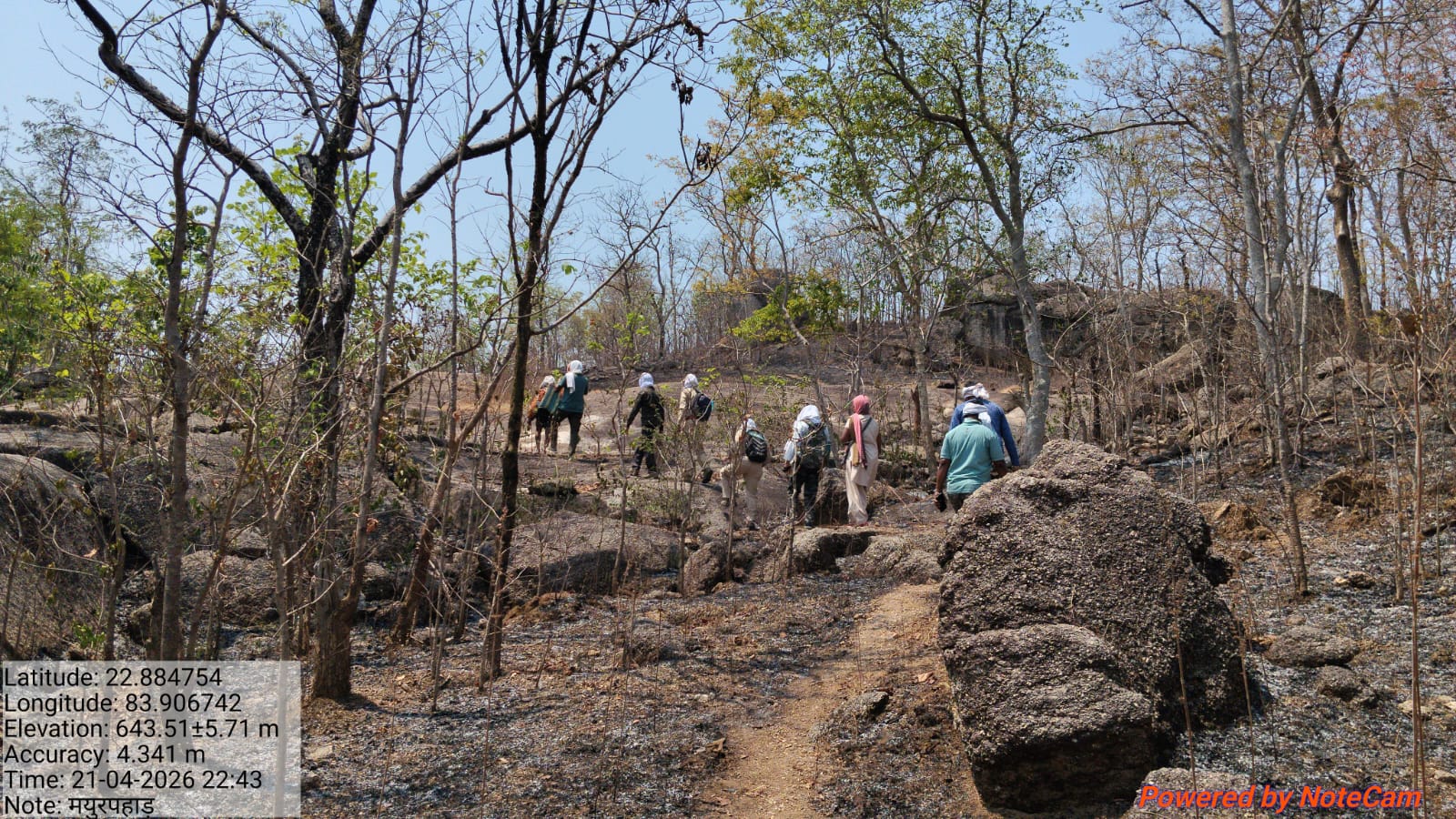 कलेक्टर रोहित व्यास के सख्त निर्देश पर दूसरे दिन भी चला&nbsp; सर्च ऑपरेशन, जंगल-पहाड़ छान मारी टीम, फिर भी नहीं मिला एयर क्रैश का कोई सुराग&mdash;अफवाह पर प्रशासन ने कसा शिकंजा