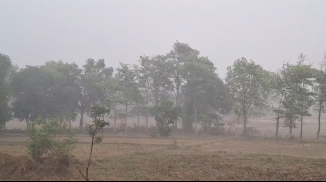 पत्थलगांव में मौसम का कहर और राहत का दोहरा वार: तेज आंधी-बारिश और ओलावृष्टि से फसलों पर संकट, लेकिन भीषण गर्मी से मिली बड़ी राहत&nbsp;
