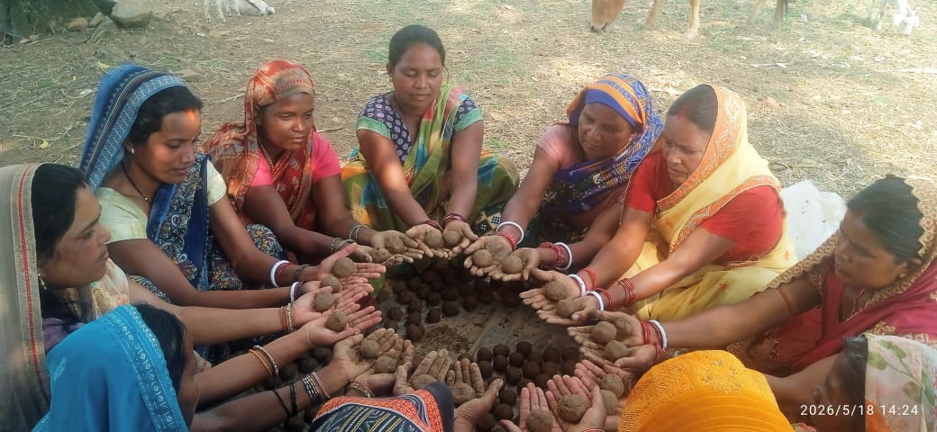 हरित जशपुर की ओर बड़ा कदम: 80 हजार सीड बॉल से बंजर और पहाड़ी क्षेत्रों में फैलाई जाएगी हरियाली, महिलाओं-ग्रामीणों ने संभाली पर्यावरण संरक्षण की कमान