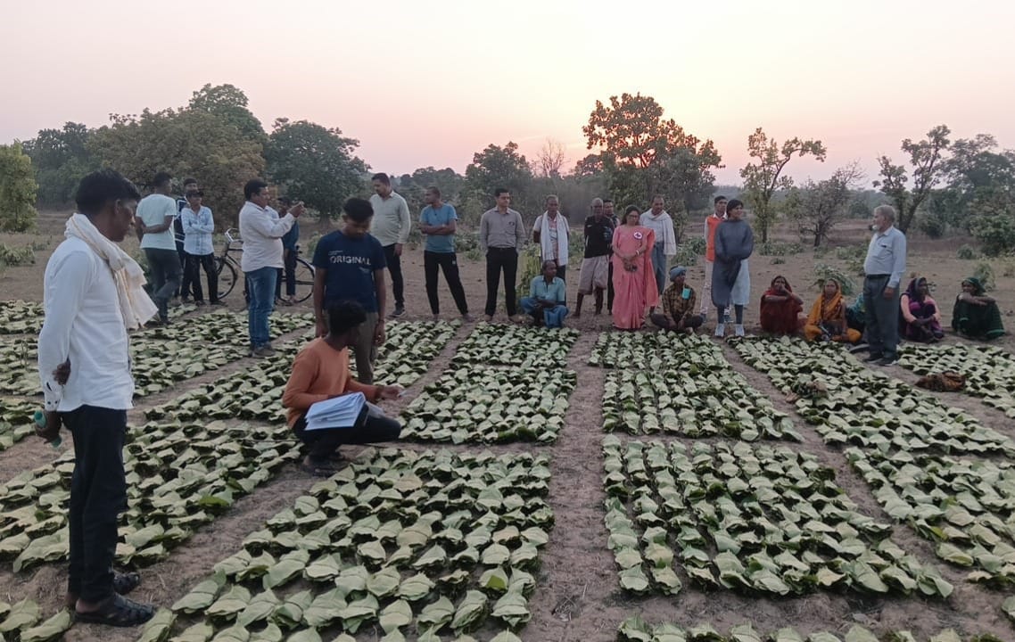 मुख्यमंत्री विष्णु देव साय की पहल से तेन्दूपत्ता संग्राहकों को बड़ी सौगात, 10,160 वनवासी हितग्राहियों के खातों में पहुँची 1.39 करोड़ रुपये से अधिक की बोनस राशि