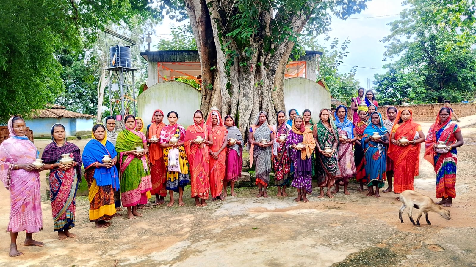 बरसात, भक्ति, लोकसंस्कृति और कृषि आस्था का अद्भुत संगम: 'कादो लेटा' पर्व पर उमड़ा पूरा गांव, खेतों में धान रोपाई से पहले धरती माता, जल स्रोतों और ग्राम देवताओं की हुई पूजा, पारंपरिक नृत्य और सामूहिक अनुष्ठान ने जीवंत की सदियों पुरानी विरासत,किसानों ने मांगी अच्छी बारिश और भरपूर फसल की कामना