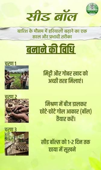 हरियाली की नई पहल: सीड बॉल अभियान से साकार हो रहा हरित छत्तीसगढ़ का संकल्प