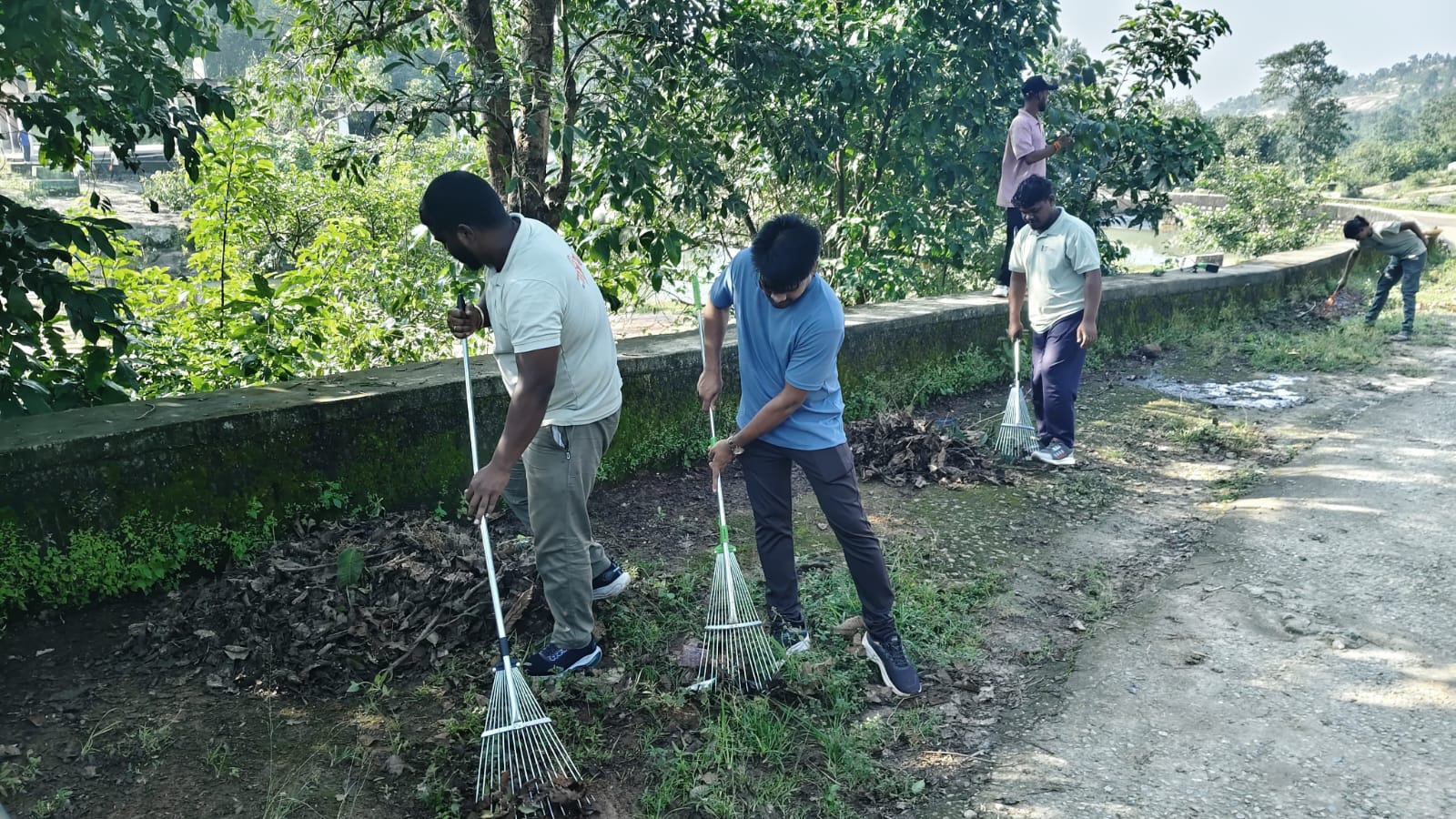 सेवा पखवाड़ा में जशपुर के सभी विकासखंडों में युवाओं का बढ़ा कदम, स्वच्छता अभियान से लेकर नशामुक्ति जागरूकता तक जनभागीदारी का संदेश लेकर गांवों में पहुंचे माय भारत के स्वयंसेवक
