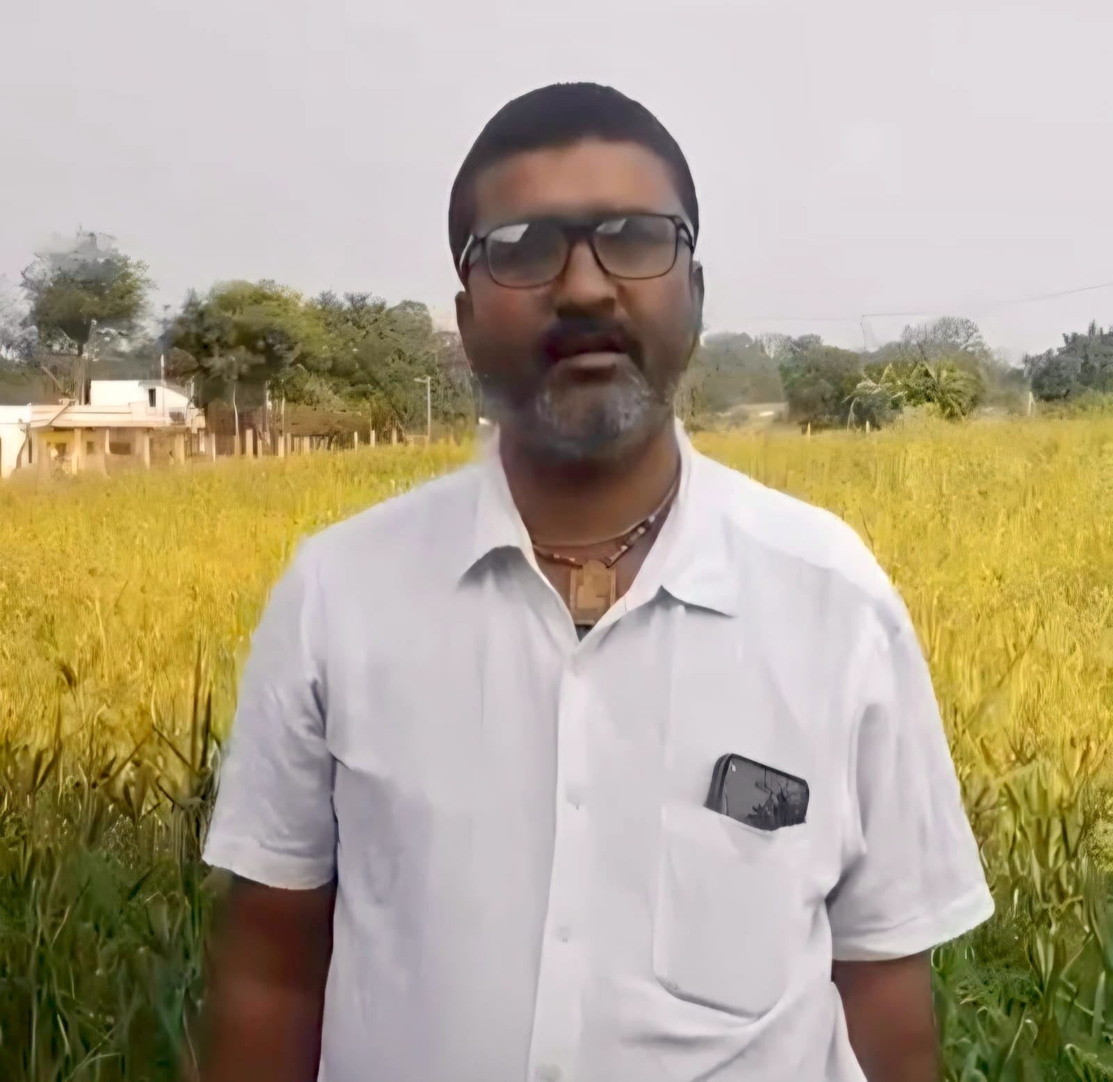 धान छोड़ रागी की खेती अपनाने वाले किसान दिनेश यादव को मिलेंगे 10 हजार रुपये, एक एकड़ में लहलहा उठी मड़िया की फसल