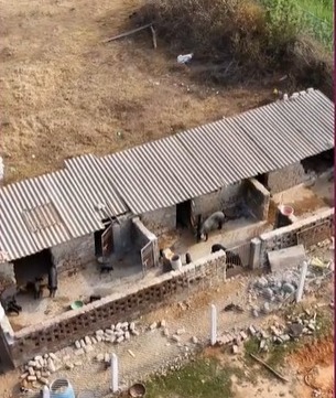 मुख्यमंत्री विष्णुदेव साय के सुशासन में जशपुर की संजीता एक्का बनीं आत्मनिर्भरता की मिसाल, खेती के साथ पशुपालन और मत्स्य पालन से बढ़ाया आजीविका का दायरा