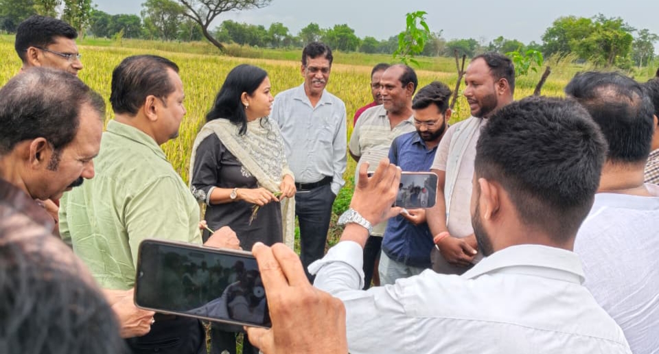 सारंगढ़-बिलाईगढ़ में काले चावल की खेती से किसानों की आय बढ़ाने की पहल, कलेक्टर पद्मिनी भोई साहू ने दानसरा पहुंचकर लिया जायजा, 200 किसान 340 एकड़ में कर रहे कुरो काले चावल की खेती