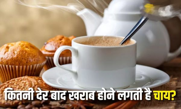 Health Tips : देर तक रखी चाय पीने से बिगड़ सकती है तबीयत...जानें कितनी देर के बाद हो जाती है खराब...जाने पूरी जानकारी