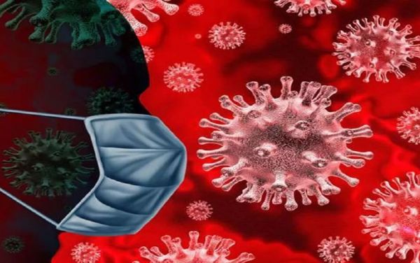 CG Corona Breaking :  प्रदेश में कोविड के अबतक 30 एक्टिव मरीज..पिछले 24 घंटे में 9 मरिजों की पुष्टि..पढ़ें पूरी खबर