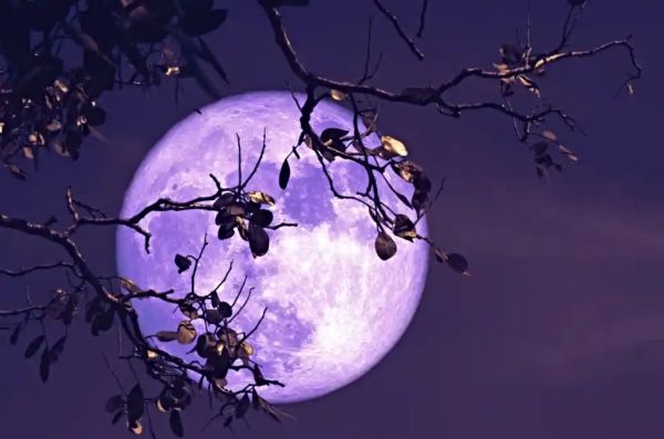 आज रात दिखेगा बक मून.!जानें भारत में कब और कैसे देखें ये अद्भुत पूर्णिमा