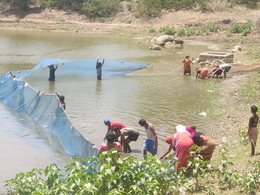 मनोरा ब्लाक के समूह की महिलाएं मछली पालन कर 2 लाख 50 हजार रूपए की&nbsp; कर रही है आमदनी&nbsp;