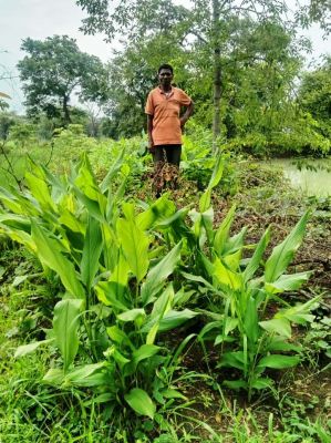 मनरेगा का डबरी ने खोले समृद्धि के द्वार, बहेराडीह के दुलार सिंह का सपना हुआ साकार