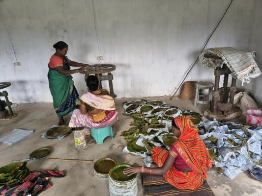 महिलाओं को मिला रोजगार : जनमन योजना के तहत विशेष पिछड़ी जनजाति पहाड़ी कोरवा महिलाओं को मिल रहा लाभ