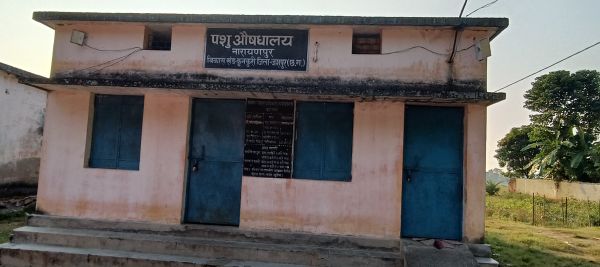 पशु औषधालय खुद बीमार...यंहा पांच वर्षों से सहायक पशु चिकित्सक नही,एक चपरासी के भरोसे औषधालय,,,दर्जनों पंचायतों के पशुपालक कहां कराएं पशुओं का इलाज -पढ़ें पूरी खबर....