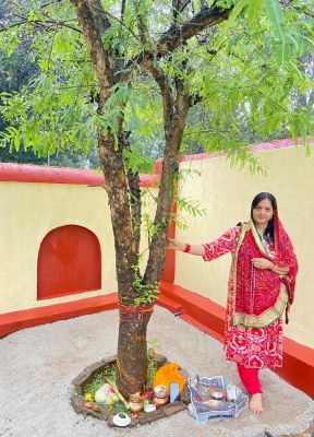 अक्षय नवमी पर्व पर महिलाओं ने की आंवला वृक्ष की पूजा