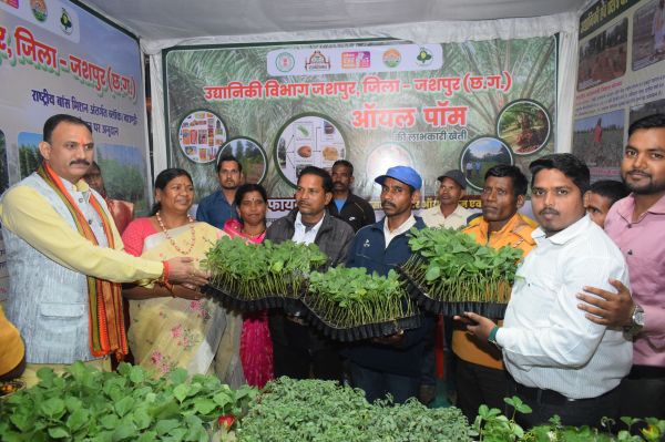 छत्तीसगढ़ राज्य स्थापना दिवस एवं रजत जयंती पर उद्यानिकी विभाग द्वारा नेशनल मिशन ऑन एडेबल ऑइल पाम का किया गया विशेष प्रदर्शन