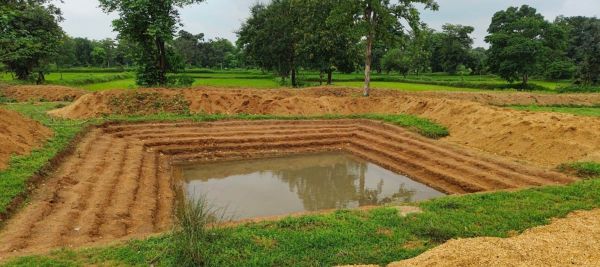 सामुदायिक प्रयासों का रहा बेहतरीन परिणाम : संस्कारधानी को मिल रहा बेस्ट डिस्ट्रिक्ट का सम्मान,जल संरक्षण एवं जनभागीदारी के क्षेत्र में बना आदर्श मॉडल