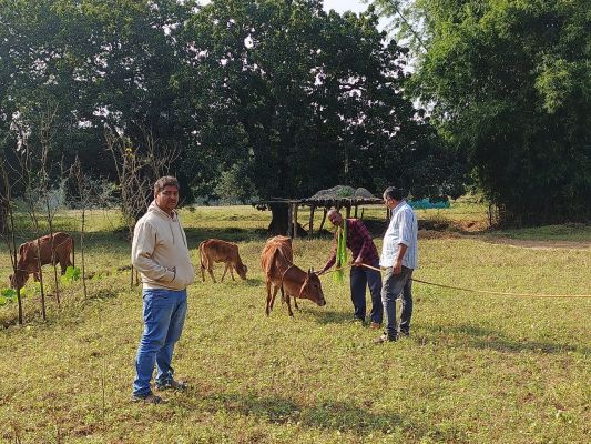 बालाझापर में निःशुल्क पशु चिकित्सा शिविर का हुआ आयोजन,120 पशुओं में कृमि नाशक दवाइयों का किया गया वितरण