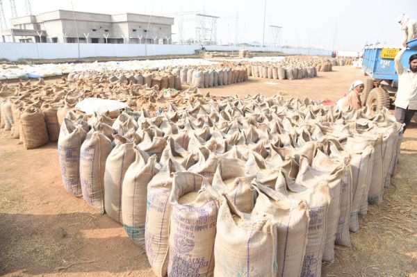 किसान छूटे खसरे का अब भी करा सकते हैं सुधार, जिले में धान खरीदी जारी,धान उपार्जन के लिए टोल-फ्री नंबर 1800-233-3663 जारी