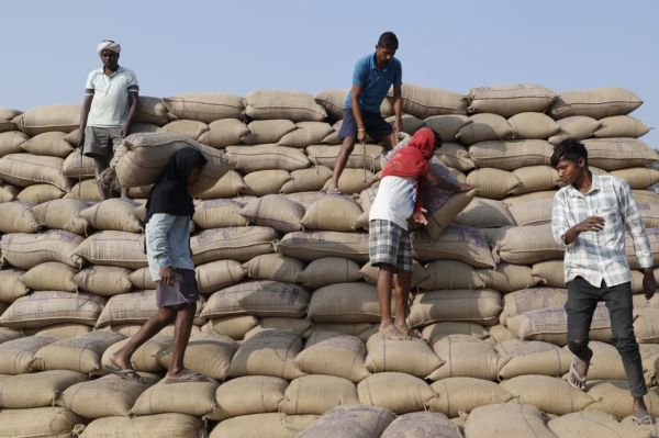 रायगढ़ जिले &nbsp;में रकबा समर्पण बना धान खरीदी व्यवस्था की सबसे बड़ी ताकत ,अब तक 184.1415 हैक्टेयर रकबा समर्पित
