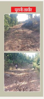 बंदकोना की विशेष पिछड़ी जनजाति पहाड़ी कोरवा बस्ती अब मुख्यधारा से जुड़ी: प्रधानमंत्री जनमन योजना ने खोला विकास का मार्ग