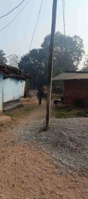 सड़क के बीच बिजली पोल बना विकास में बाधा, गलती विभाग की सजा जनता को-सीसी सड़क निर्माण कार्य कई महीनों से ठप्प