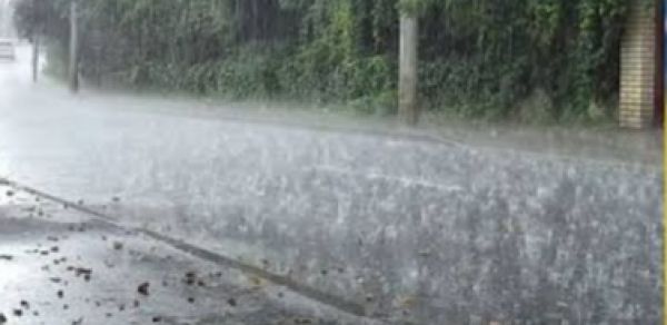 नारायणपुर में मंगलवार शाम बदला मौसम का मिज़ाज, हल्की बारिश से बढ़ी ठंडक, वहीं सब्जी उत्पादक किसानों की बढ़ी चिंता,एक&ndash;दो दिन और हुई बारिश तो खड़ी सब्जी फसलों को हो सकता है भारी नुकसान